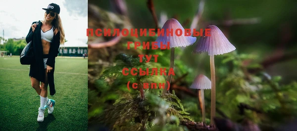 бутират Армянск